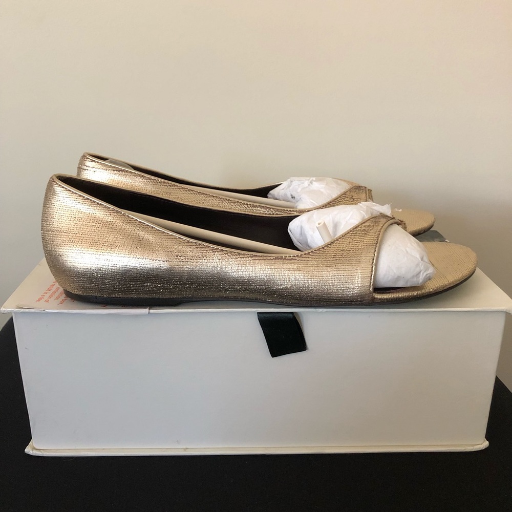 Elizabeth & James Alisha Ballet Flat Size 9 NIB